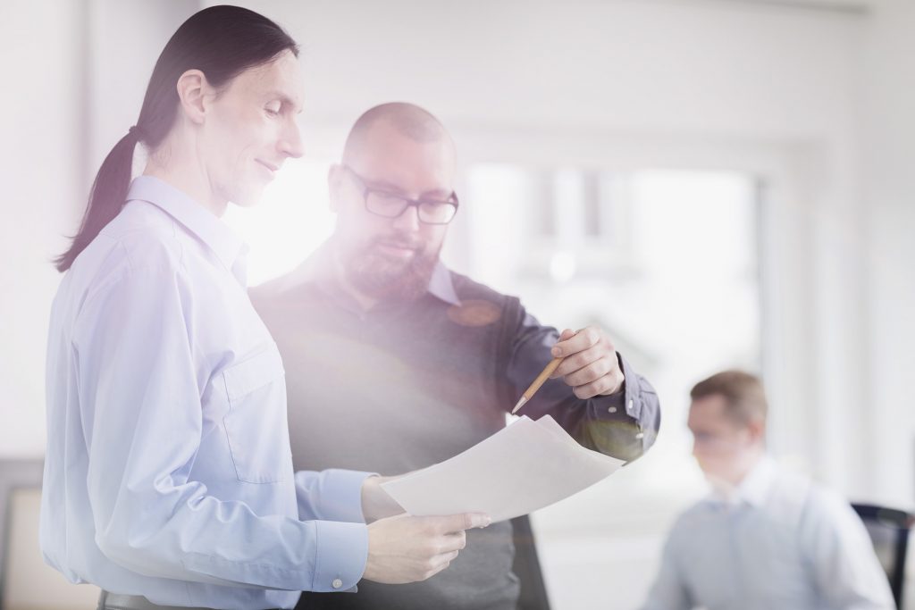 Individualsoftware Kosten